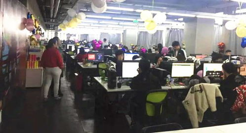 打造大学生实训网络技术服务品牌 从实践到卓越的蜕变之路